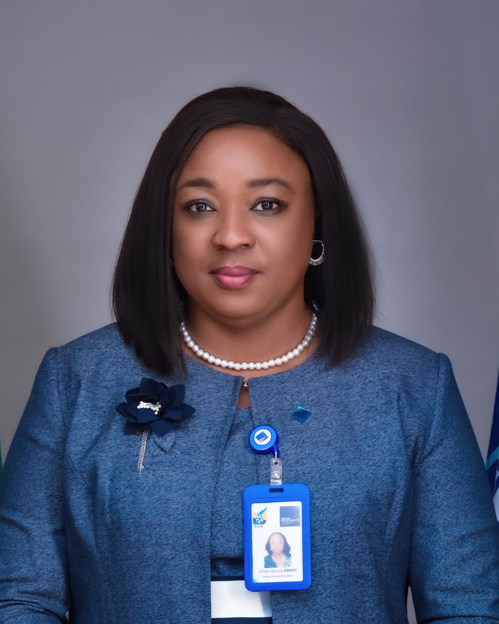 Mrs. Adaku Amadi - Abuja Investment Company Limited
